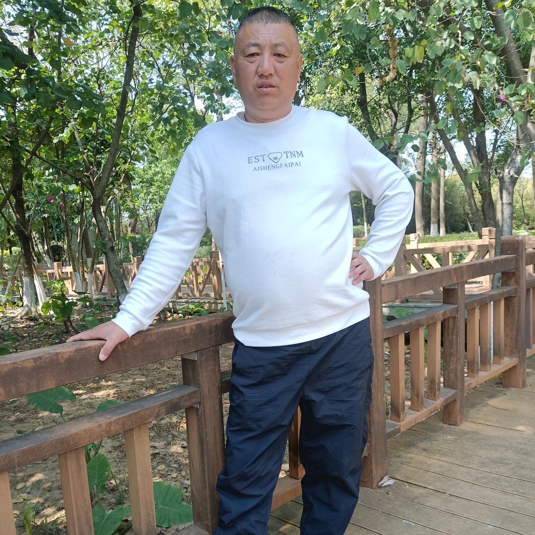 豫金刘哥