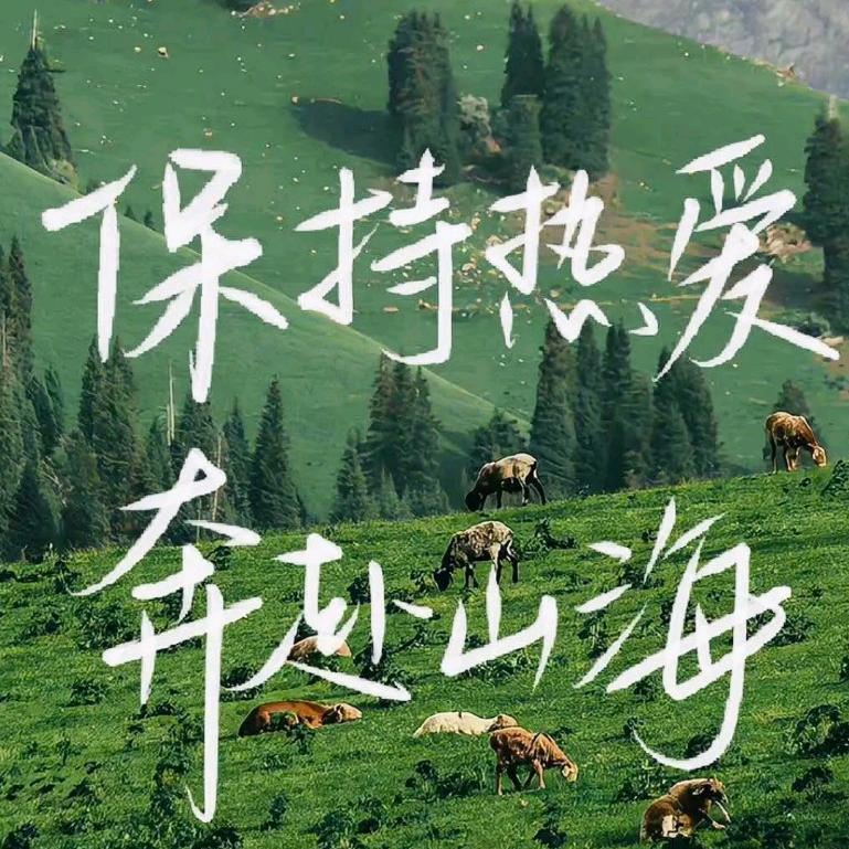 短暂的梦想