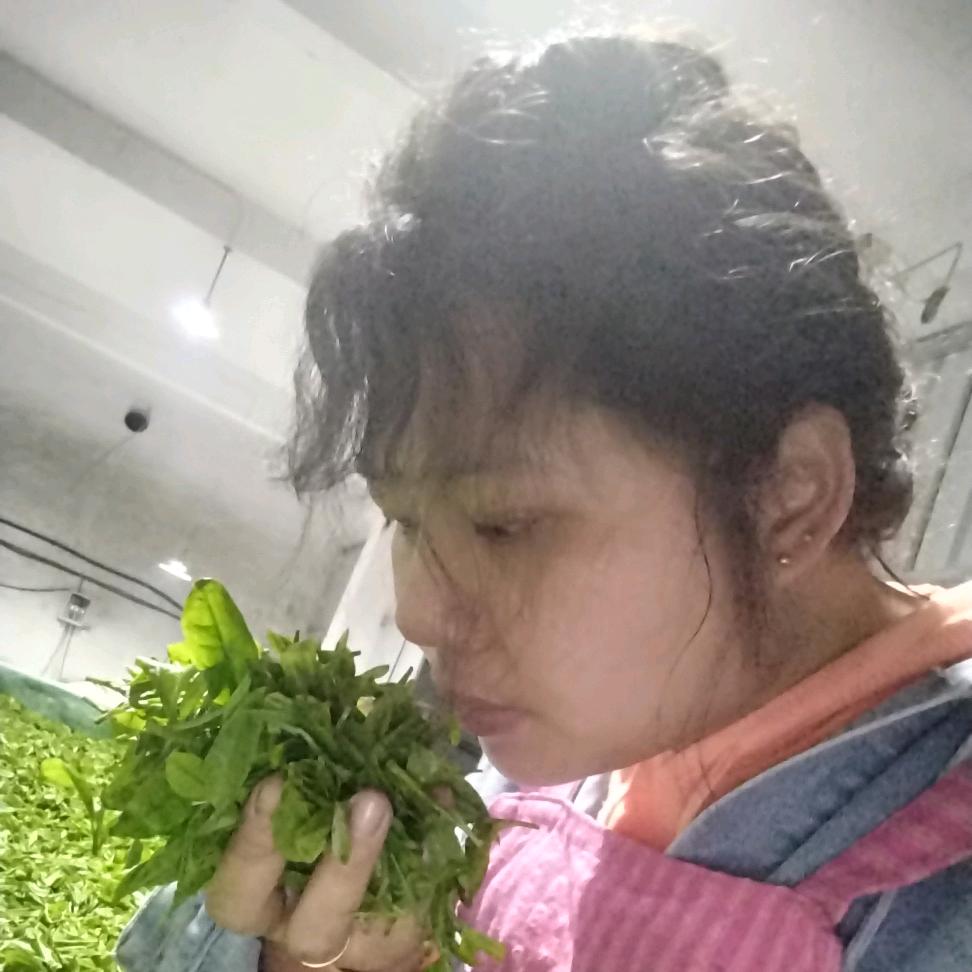 容儿从头再来《谢绝私聊》