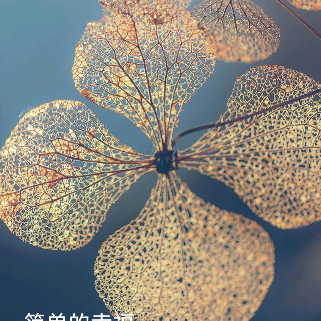 阳光好物甄选