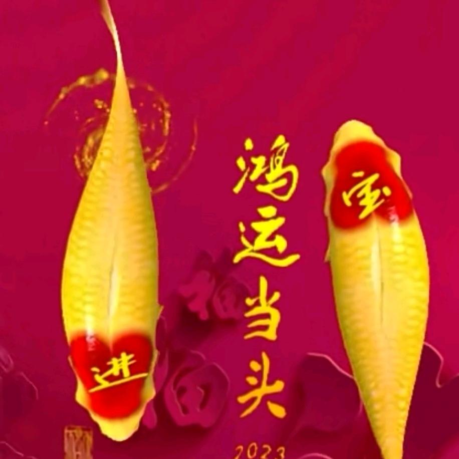 宁静致远..