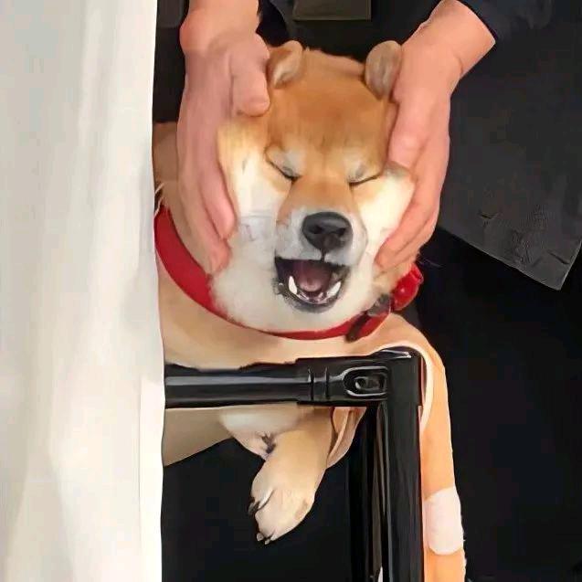 祢辻