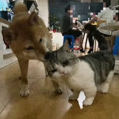 质检部b