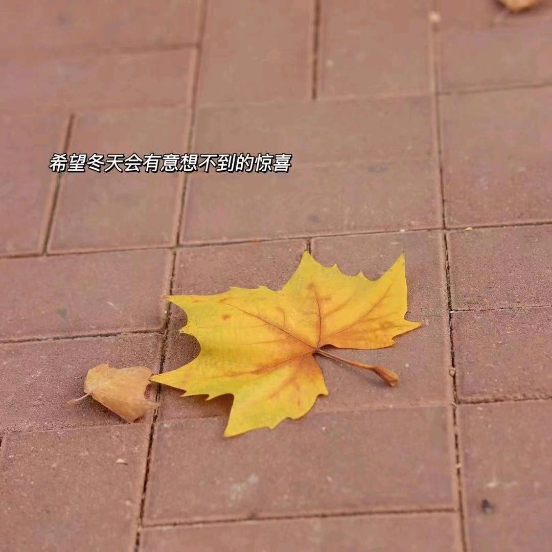 王小川💄