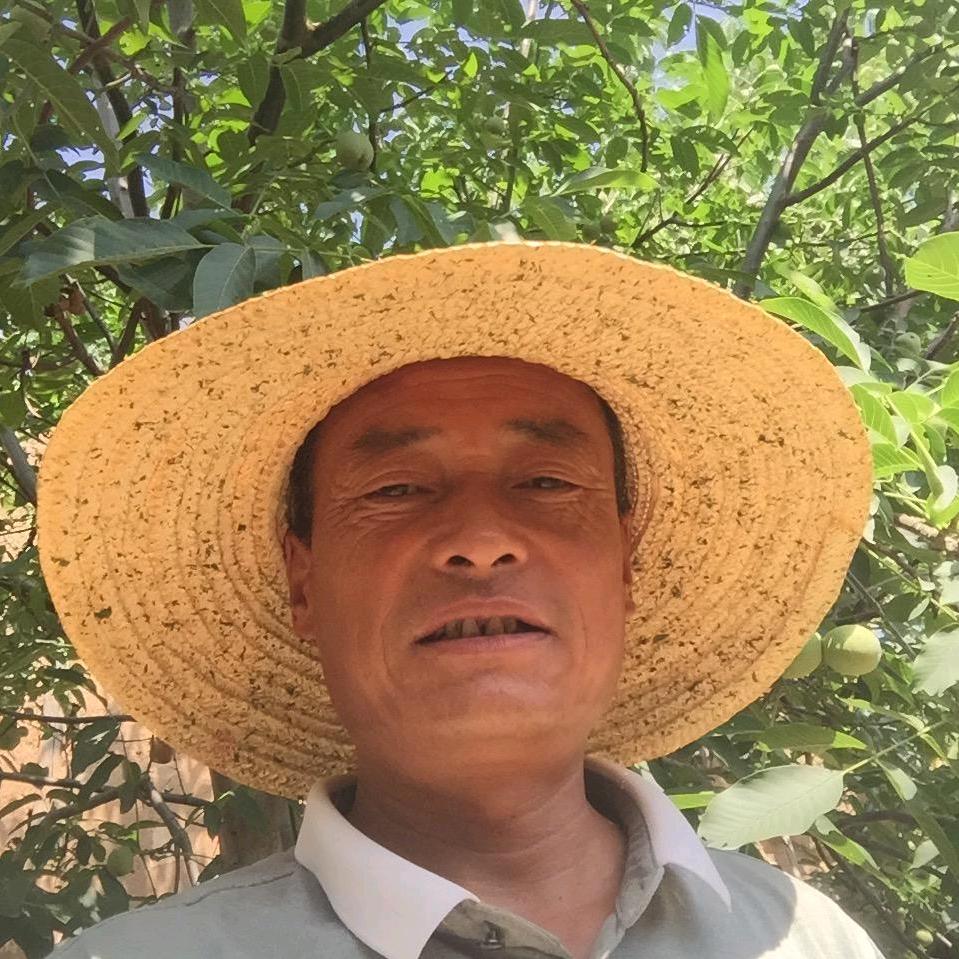 老杨哥（水果种植）
