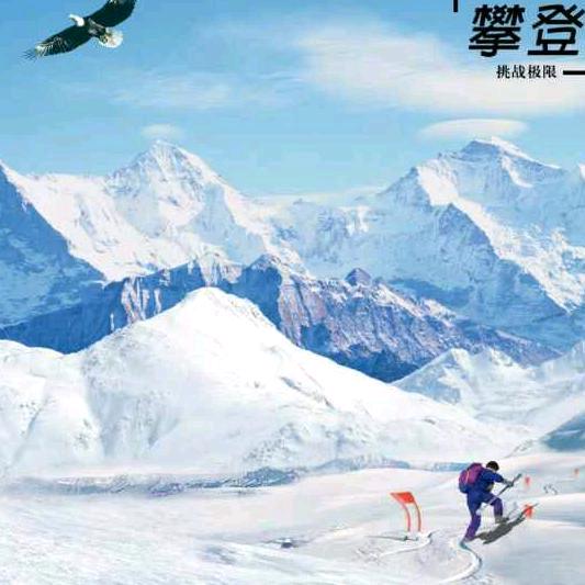 雪山飞鹰