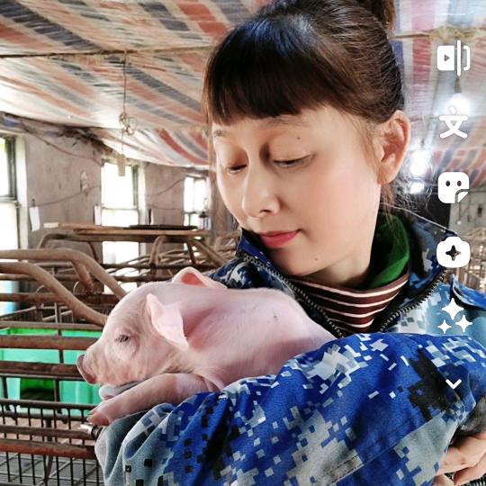顾姐养殖