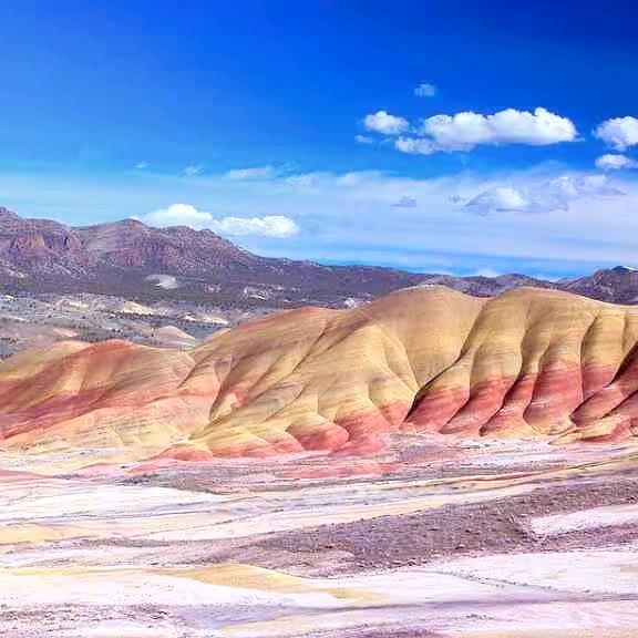 带刺的🌹玫瑰🌹