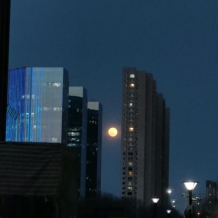迪加配萝莉