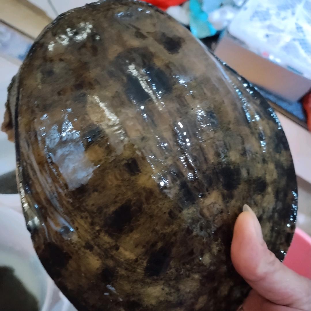 啊信水产河鲜