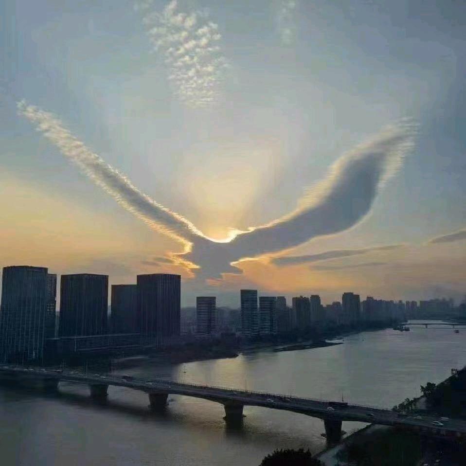 情不知所起，一往而深