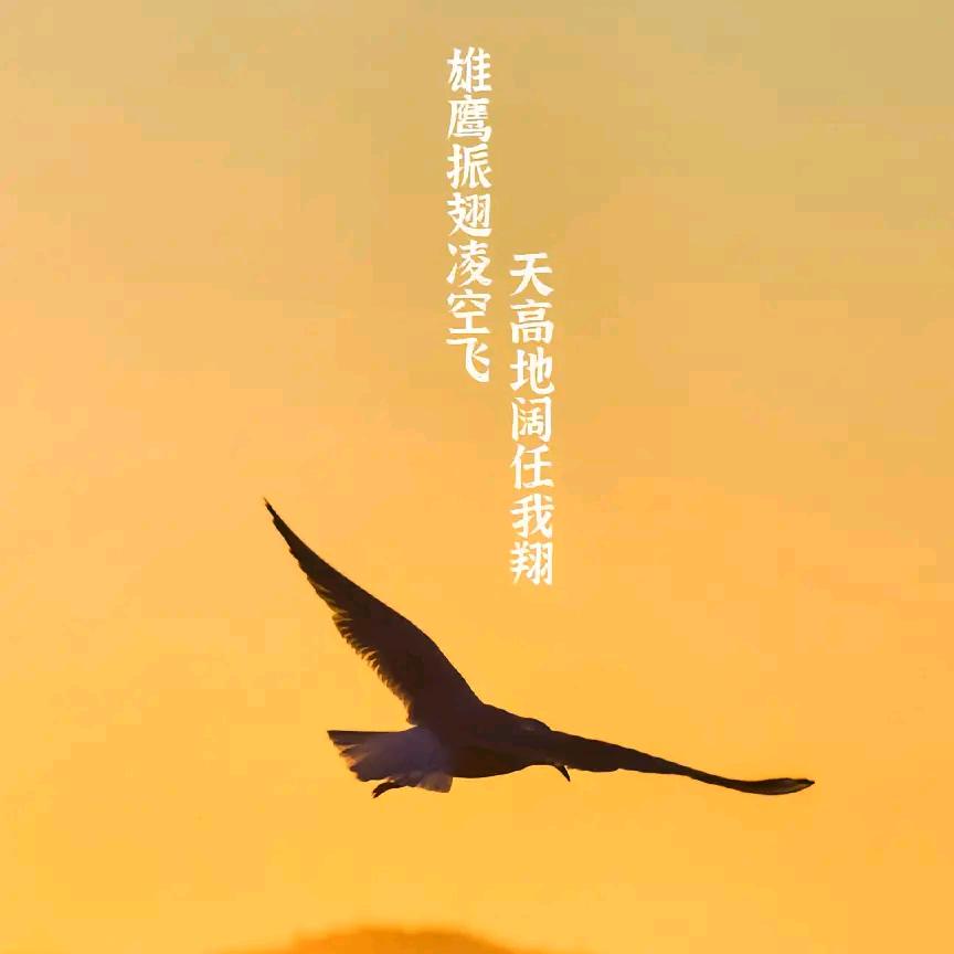 幸运相随！