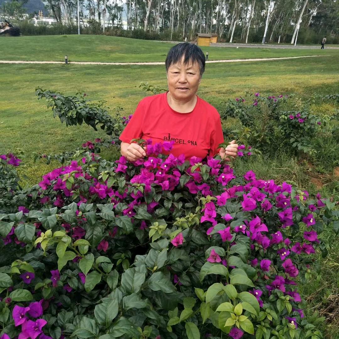 我在阿