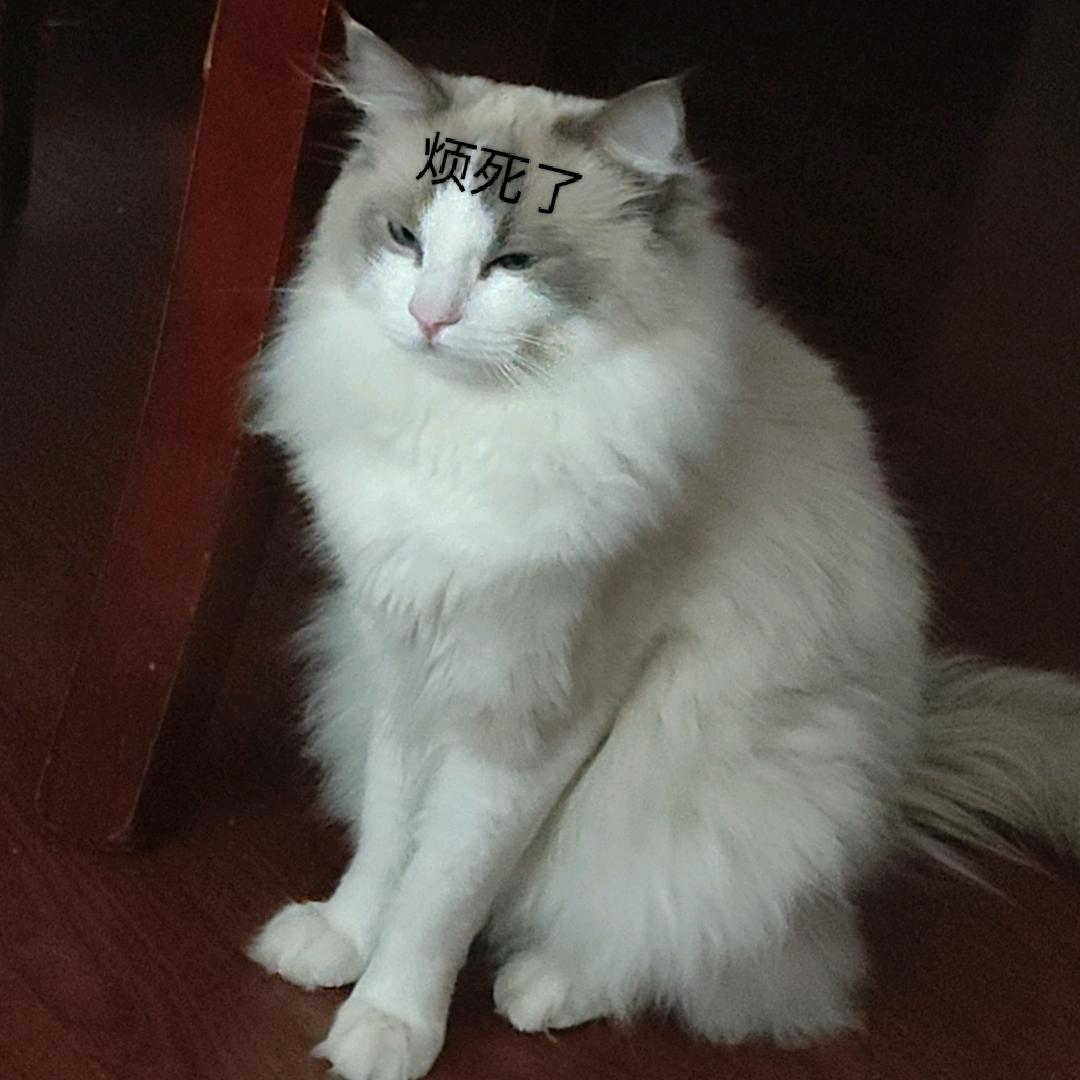 lllllllllll