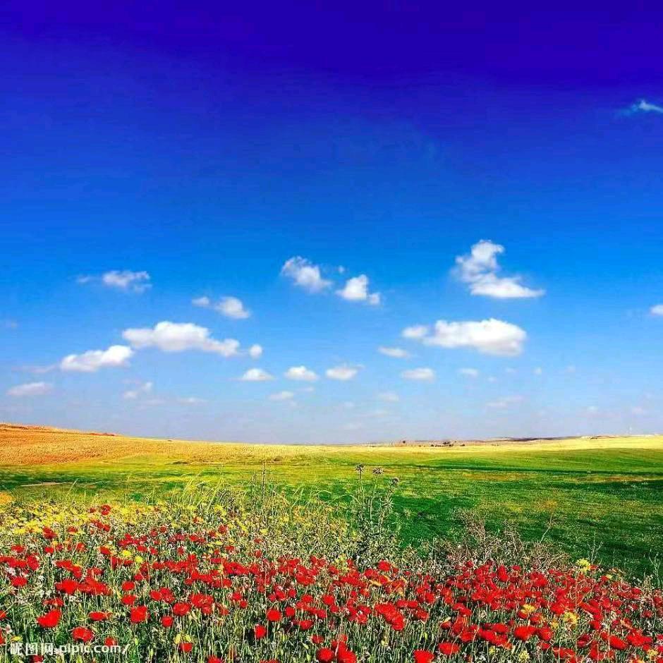 平安健康快乐！