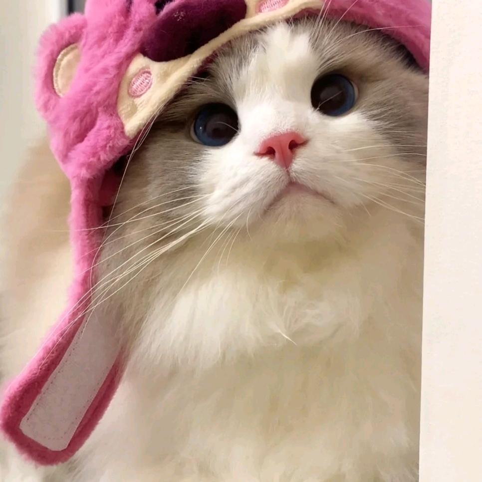 回忆流连