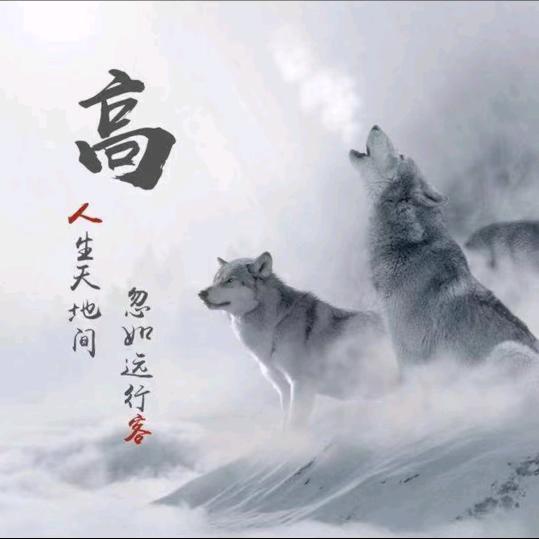 用户4162273822973