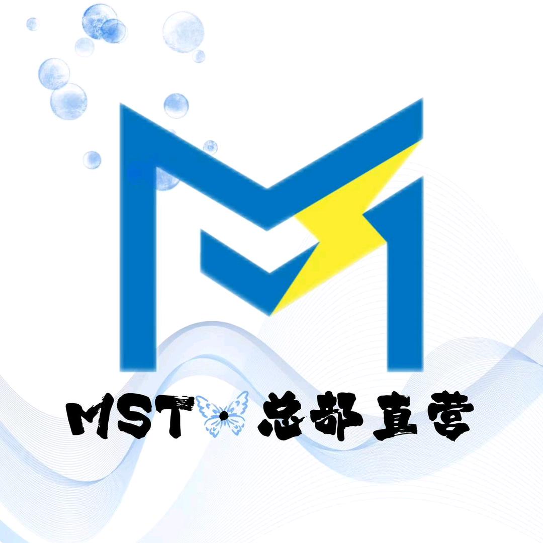 MST高中新思路直播号