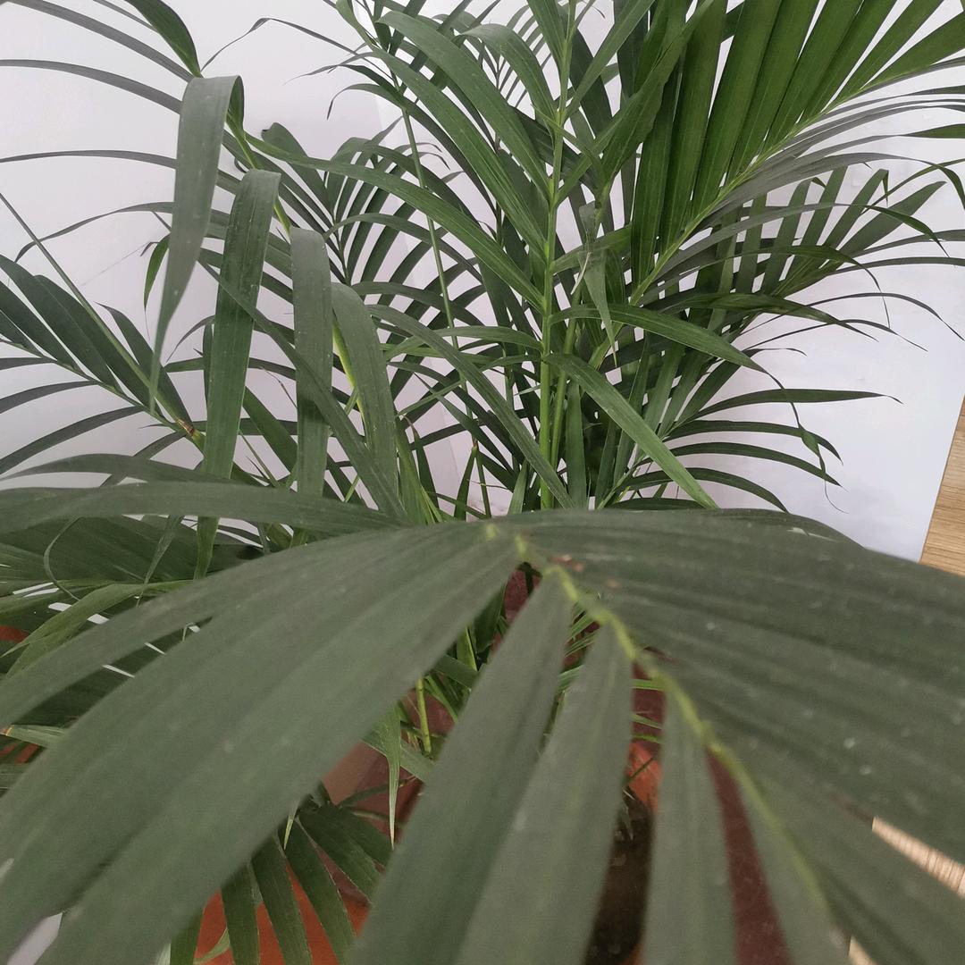 海之情怀