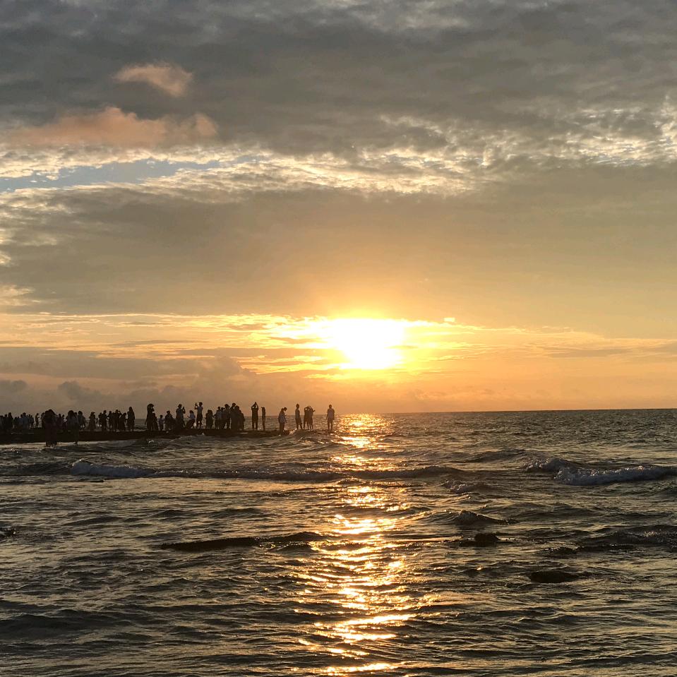 不知名热心的鱼