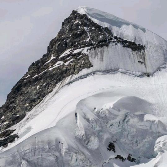 ✘拼搏✘(利天)