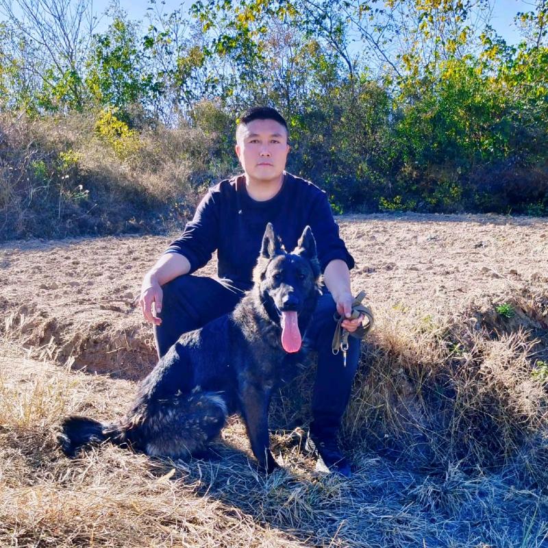 唐县，邵杰训犬