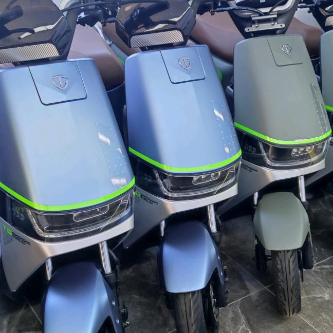 台铃电动车(永盛家园店)