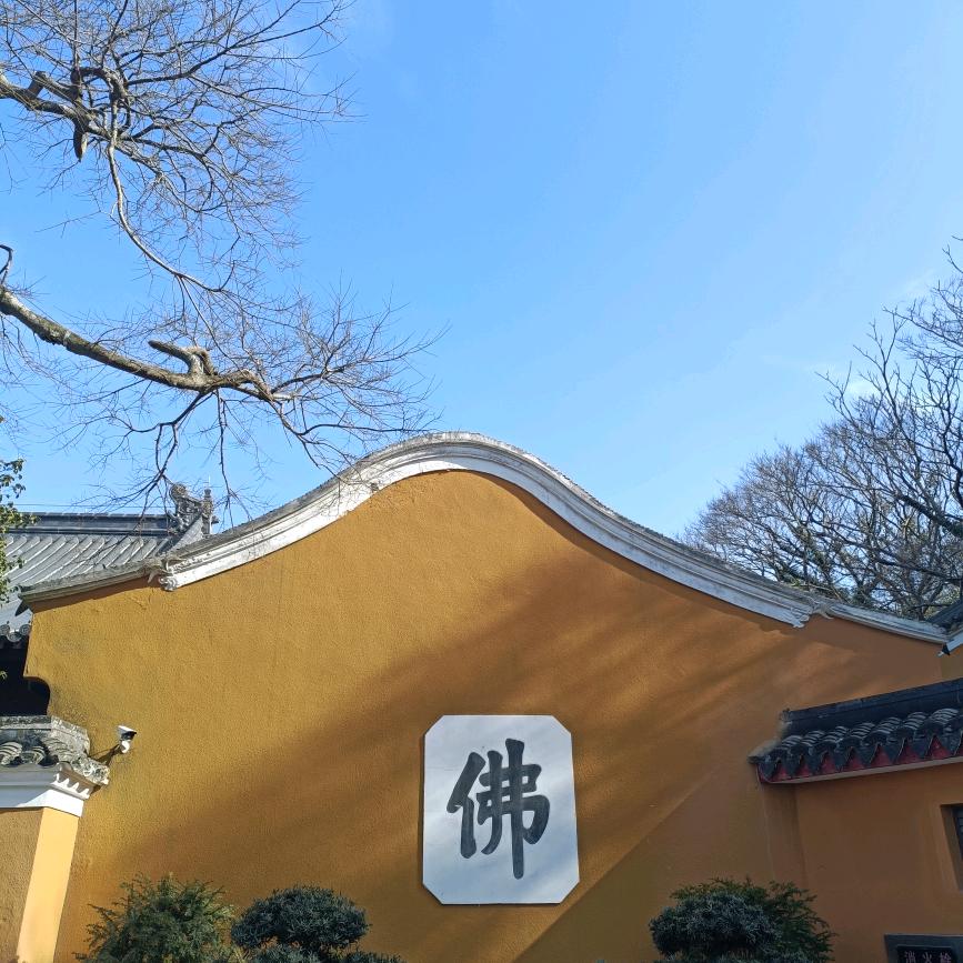 为梦想努力