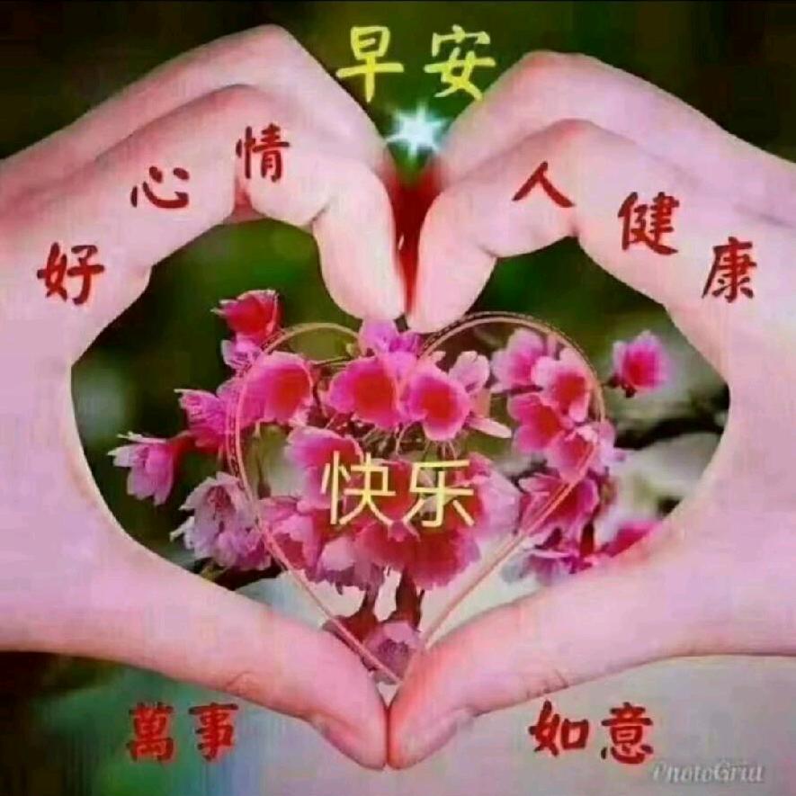 刺痛了我的心
