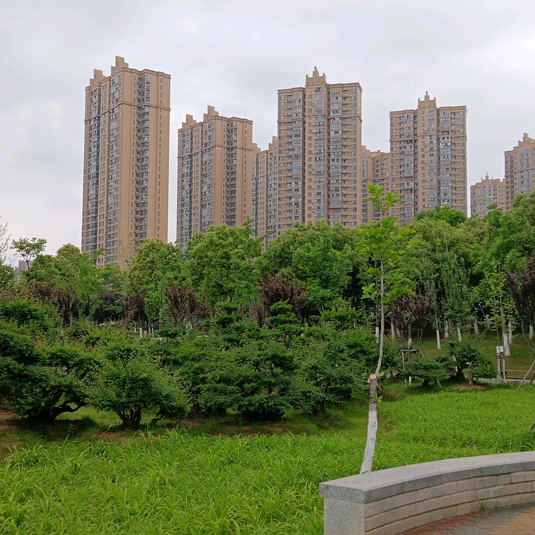 云游天下