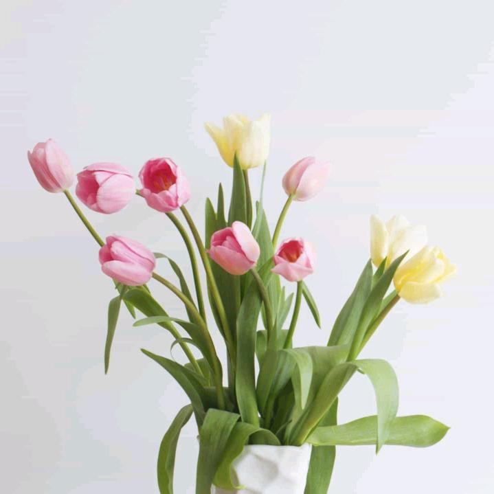 好的🌸
