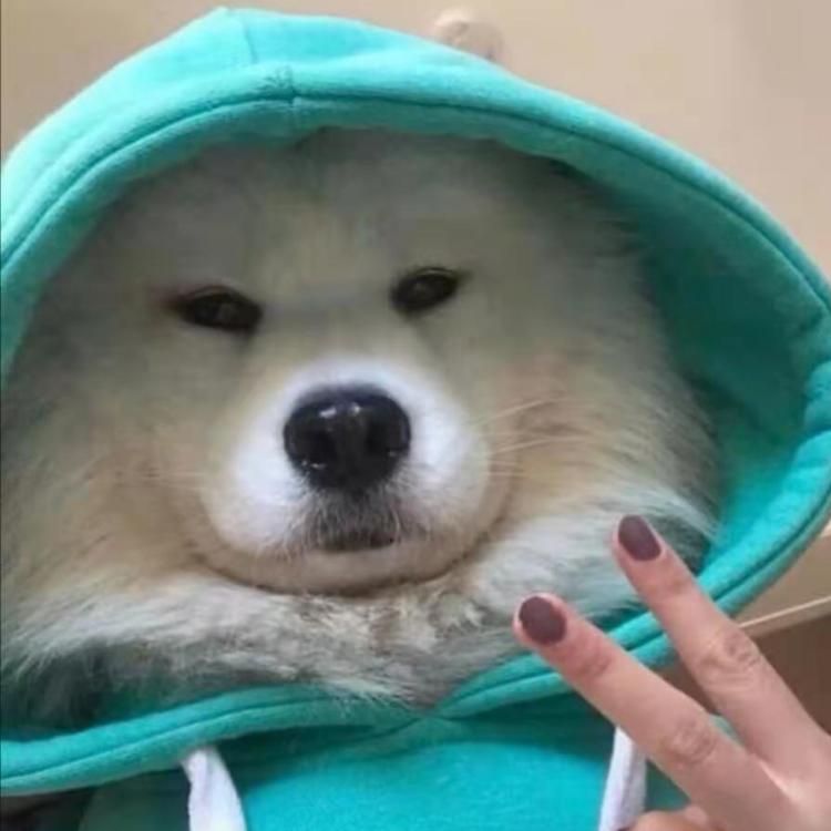 最后鍀希望