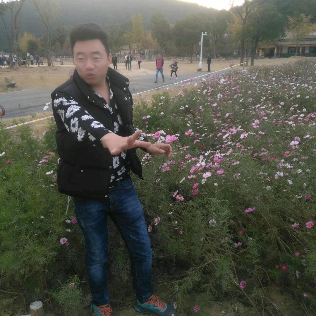 大彬哥