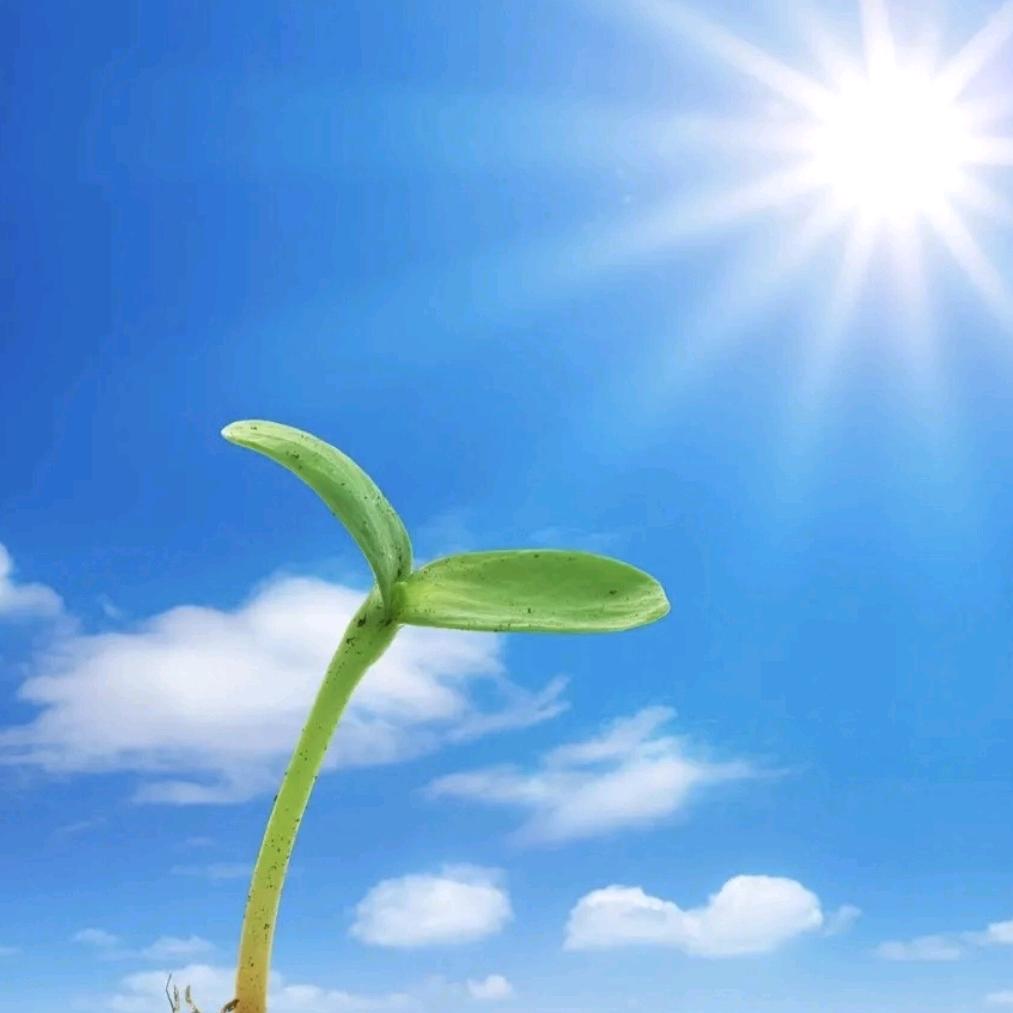 曦哥山水