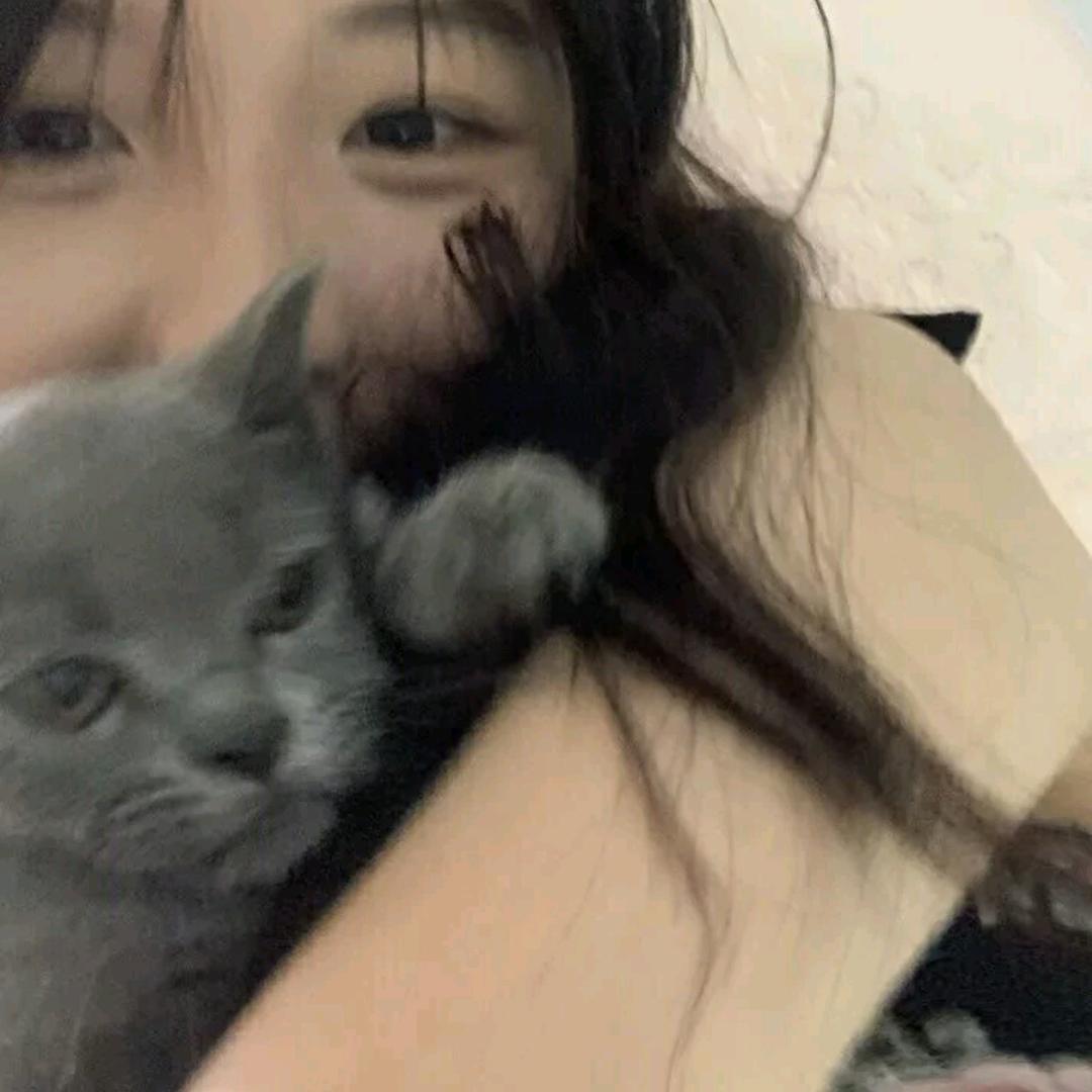 .汤圆喵
