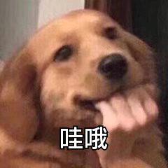 奶狼双修