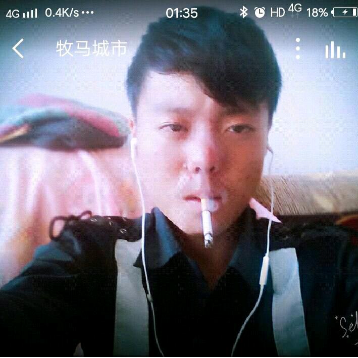 马金龙