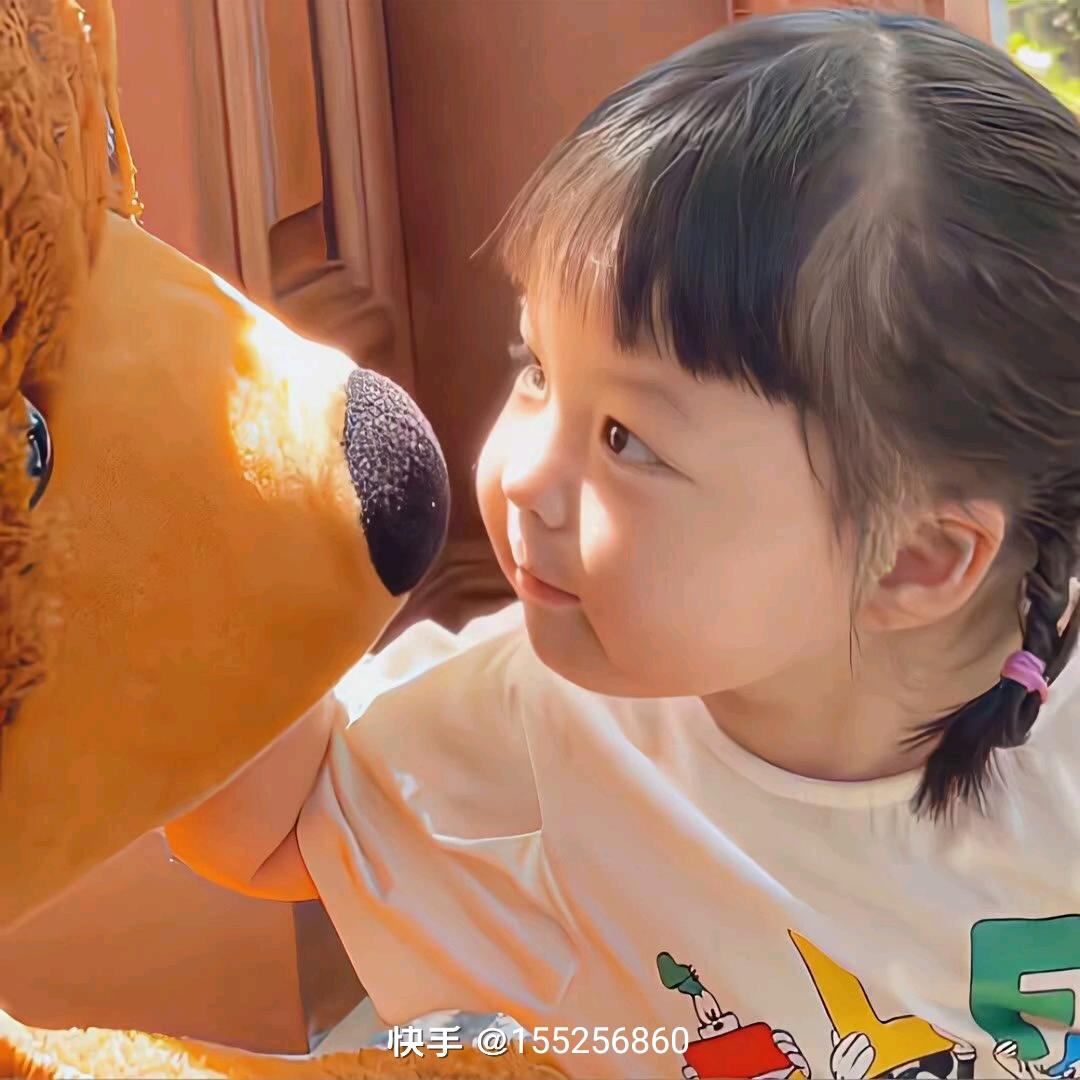 杼