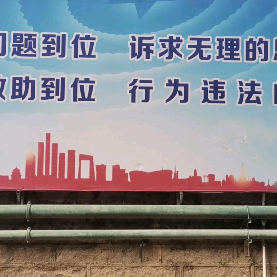 放飞世界陈新忠