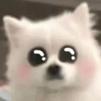 活着就得拼