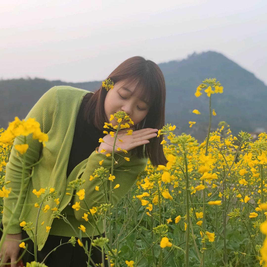 羊头信益车行（雅迪，新日，五羊-本田）