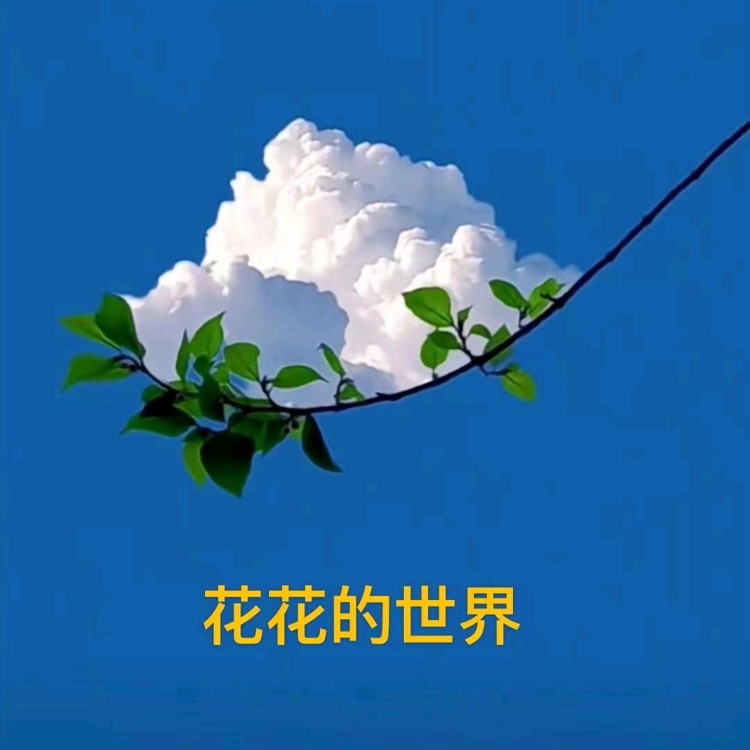 王子哥