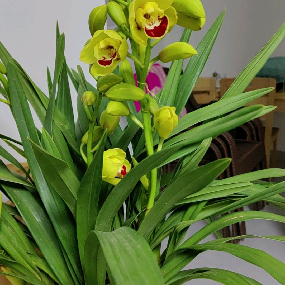 爱恨随风