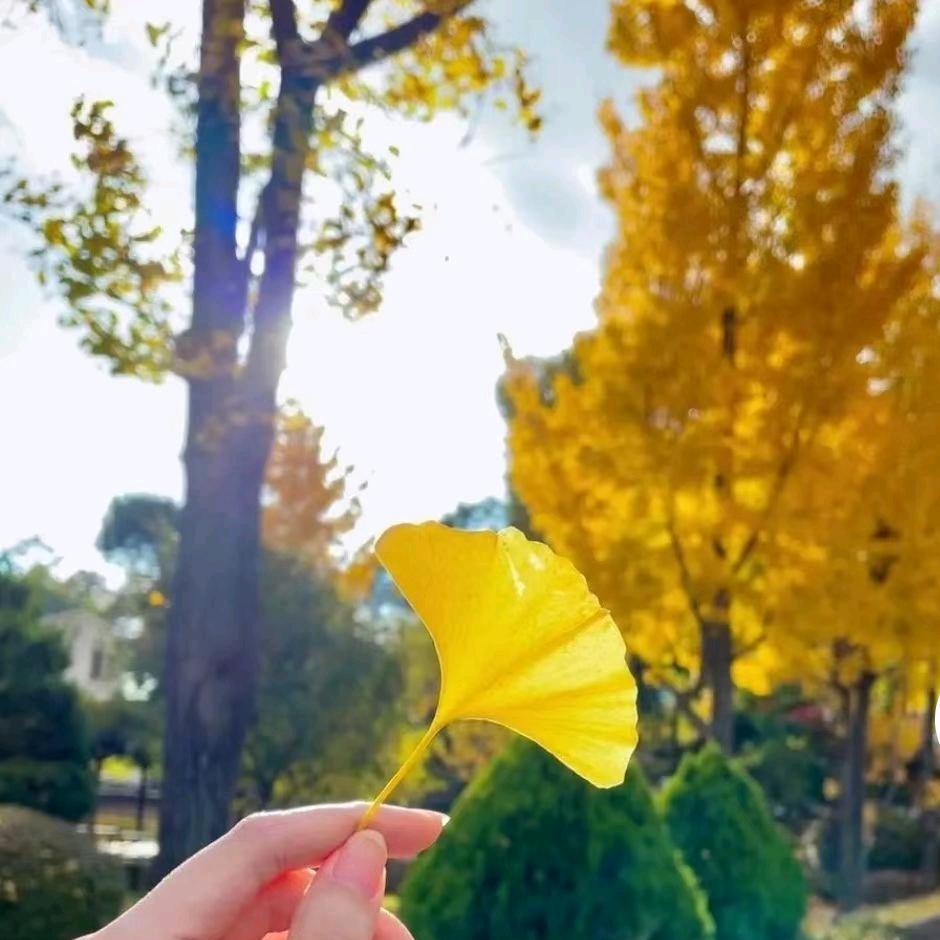 兜里🈶颗糖🍭