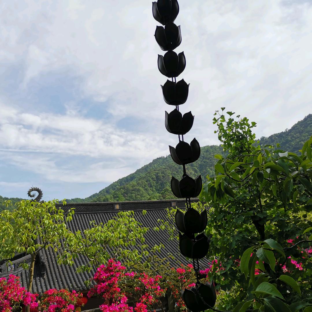 可可西里的可可❄️