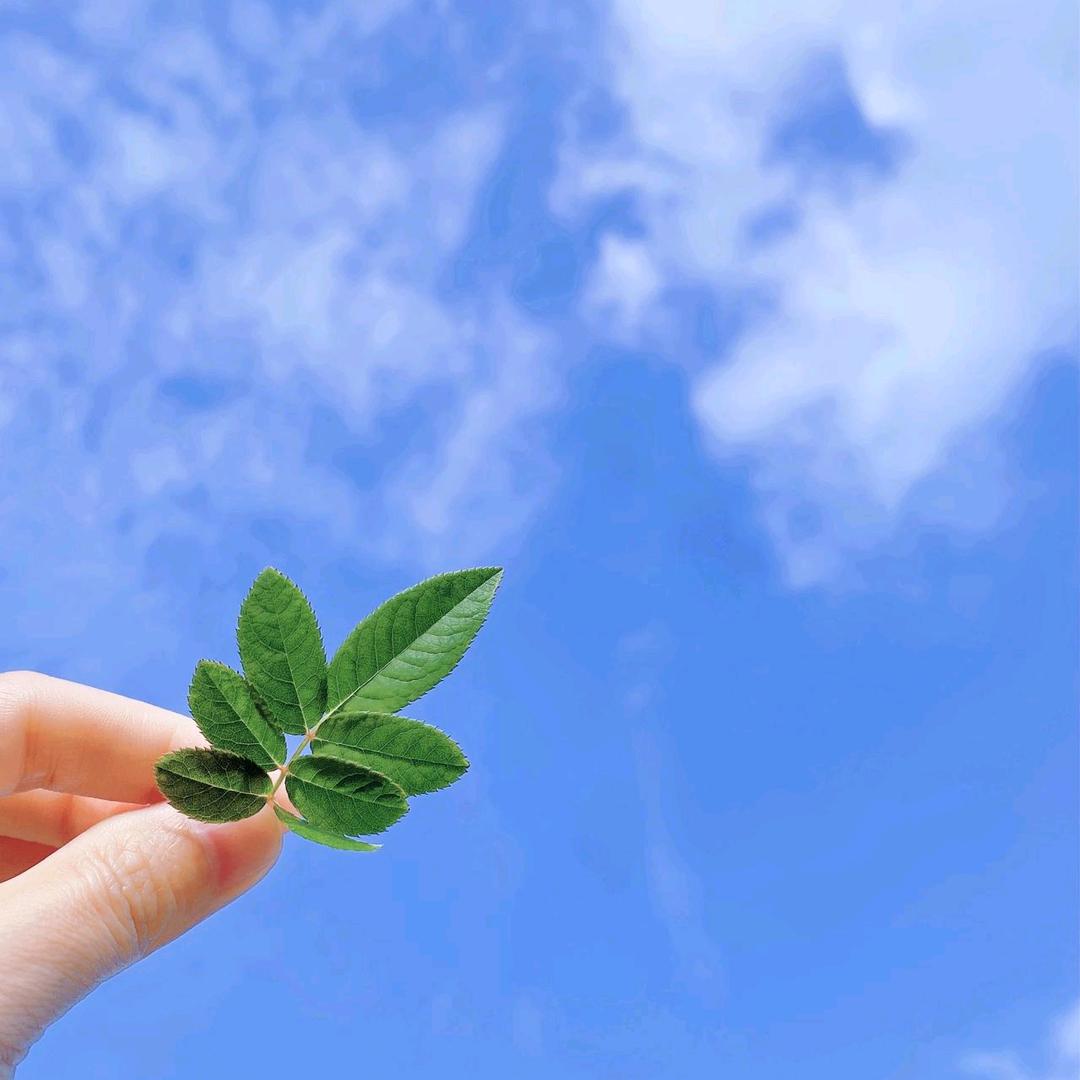 丫丫吖