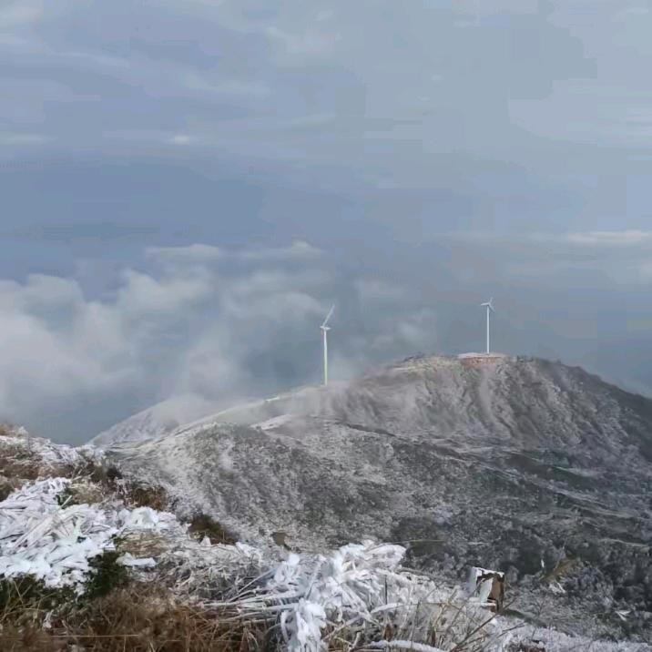 新明