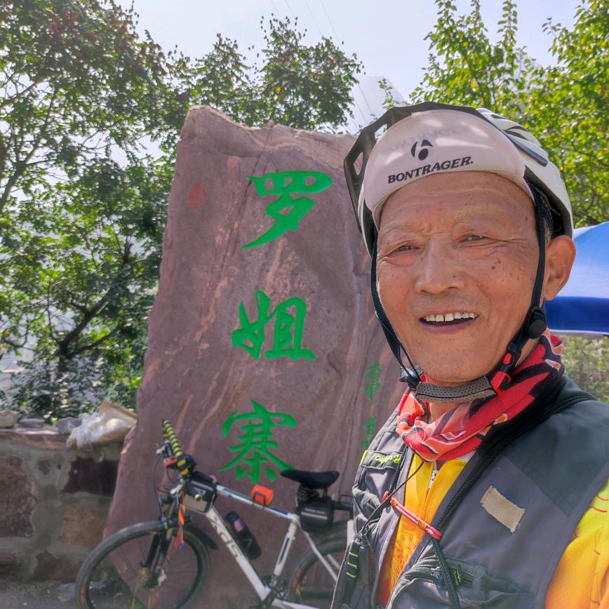沙狐