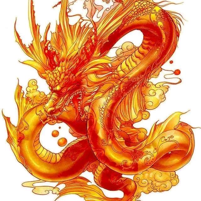 🐉龙哥🐉