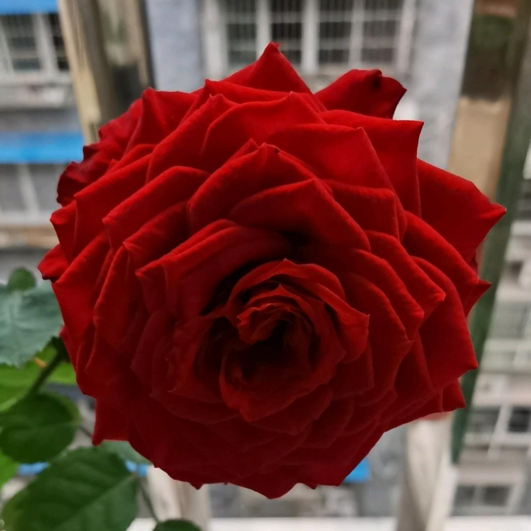 回不到的以前